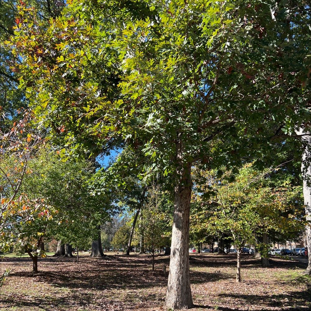 FLETCHER PARK COMMUNITY CENTER 820 Clay St, Raleigh, North Carolina