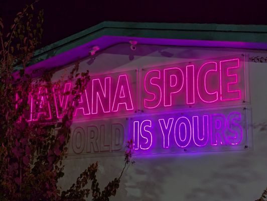 Havana Spice by null