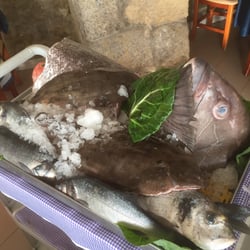 Restaurante Estrela do Mar - Fisch frisch auf den Tisch