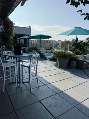 Botanical Lounge by null