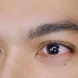Ellebrow NYC Ellebrow NYC