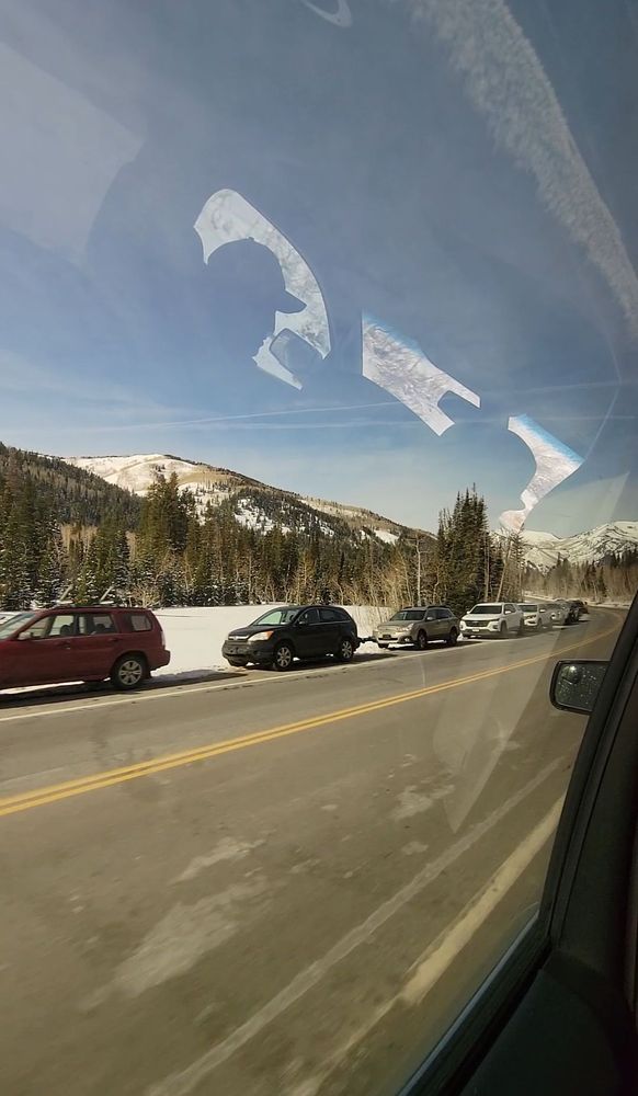 Protrans Transportation