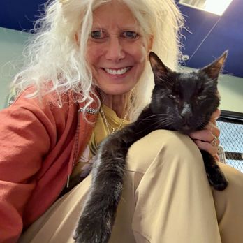 HEARTS ALIVE VILLAGE - Updated May 2025 - 247 Photos & 170 Reviews