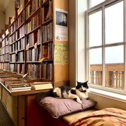 Gallery Bookshop & Bookwinkle's Children's Books - The Great Catsby