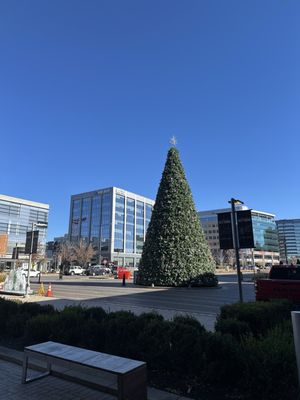 Cherry Creek Shopping Center by null