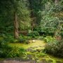 Photo of Dunaway Gardens