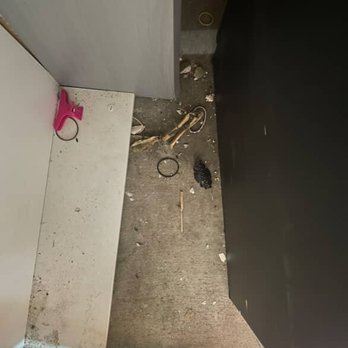 U-Store Bell - Cat's bones - Self Storage Near Me - Bell, California