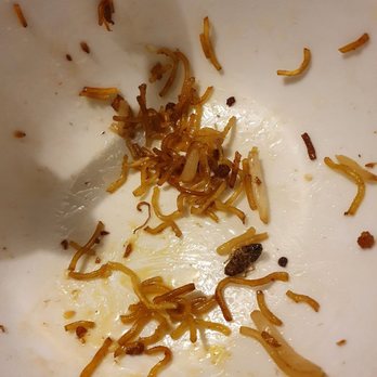 East Ocean Restaurant - See the bug in there? Unfortunately, I didn't find this bug until I was done with my food. This is the SECOND TIME that happened. - Seafood Near Me - Quincy, Massachusetts East Ocean Restaurant - See the bug in there? Unfortunately, I didn't find this bug until I was done with my food. This is the SECOND TIME that happened. - Seafood Near Me - Quincy, Massachusetts