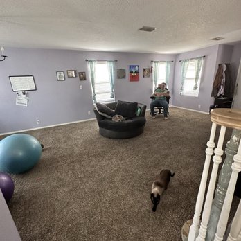 Master Tech Cleaning & Restoration Services - Before - A spacious living room with purple walls, three windows with curtains, and a person sitting in a chair near the windows. - Grout Services Near Me - Albuquerque, New Mexico