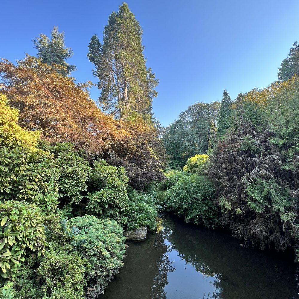 Kubota Garden - IG: @ohmyono - Botanical Gardens Near Me - Seattle, Washington Kubota Garden - IG: @ohmyono - Botanical Gardens Near Me - Seattle, Washington