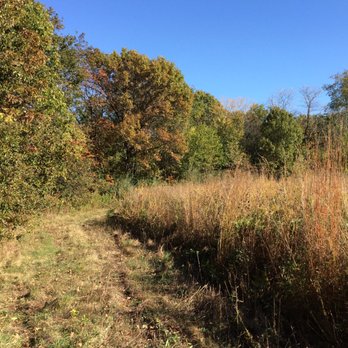 Jubilee College State Park - Parks Near Me - Brimfield, Illinois Jubilee College State Park - Parks Near Me - Brimfield, Illinois