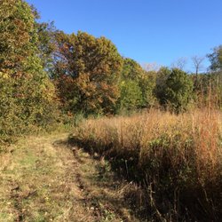 Jubilee College State Park