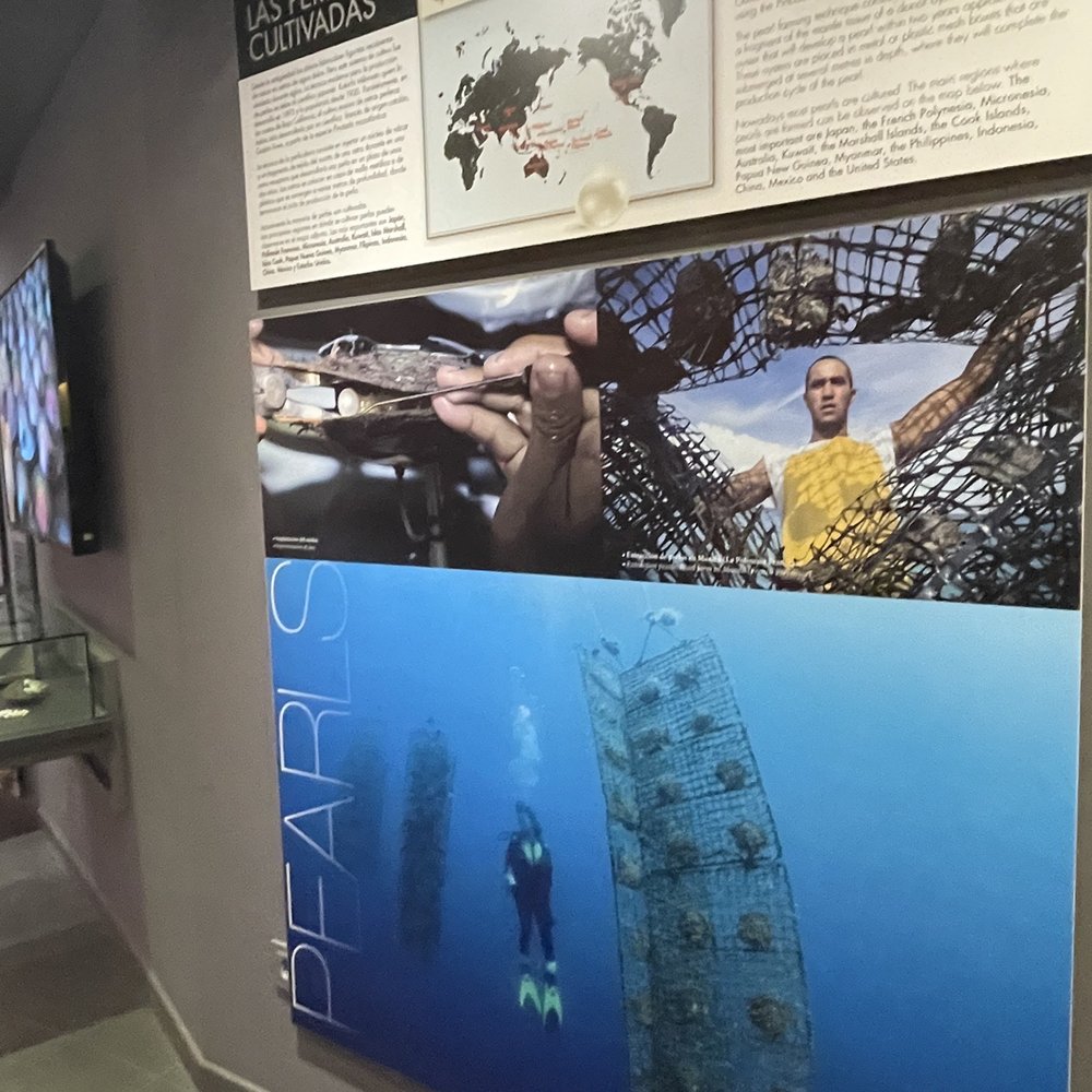 Mallorca Pearl Museum - Museums Near Me