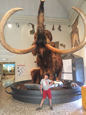 Civic Museum of Natural Sciences in Bergamo by null