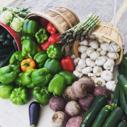 Downtown Elgin Harvest Market