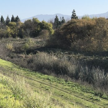 Guadalupe River Trail - Hiking Near Me - San Jose, California Guadalupe River Trail - Hiking Near Me - San Jose, California