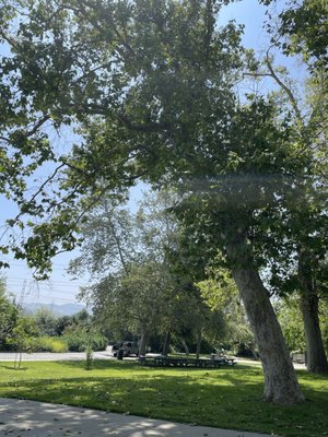 Whittier Narrows Natural Area by null