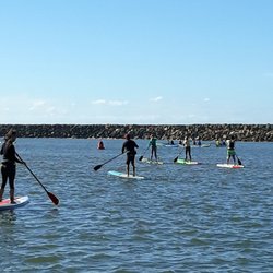 Wild SUP Tours
