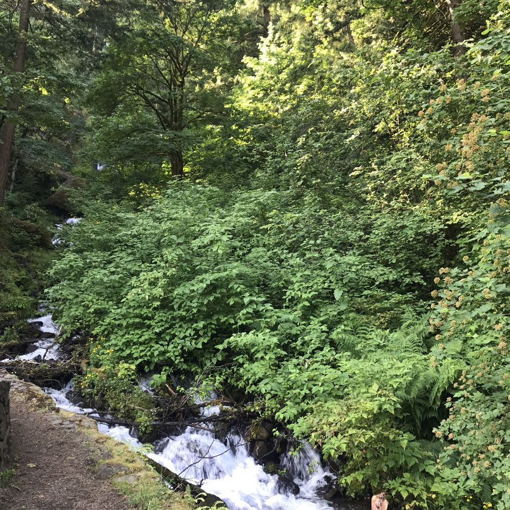 Wahkeena Falls - Parks Near Me - Troutdale, Oregon Wahkeena Falls - Parks Near Me - Troutdale, Oregon