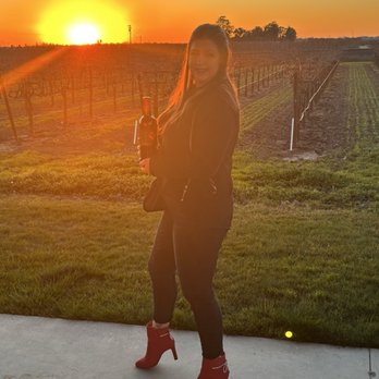 m2 Wines - Look at the sun! - Wine Tasting Room Near Me - Acampo, California