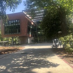 Chico State Wildcat Store