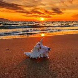 Sunset Recovery Sober Living - A promise of a new tomorrow