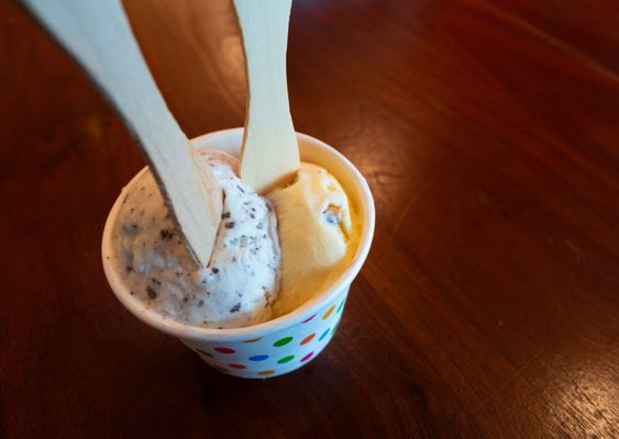 Elevated Ice Cream Co by null