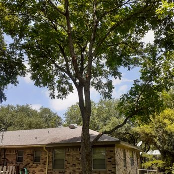 Tree Right Tree Service - Tree Services Near Me Tree Right Tree Service - Tree Services Near Me