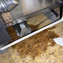 Sherlock Plumbing Heating & Air - Water leaking in attic.