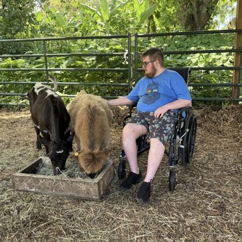 Rent A Maui Boy - Cow Cuddles!! - Tours Near Me Rent A Maui Boy - Cow Cuddles!! - Tours Near Me