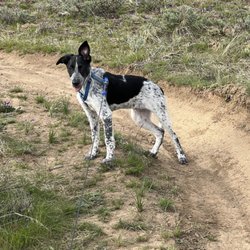 Uplands Trail of Cowiche Canyon - On an offshoot of the Uplands Trail