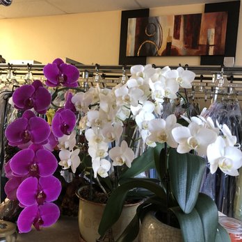 Sophie's Alteration - Sewing & Alterations Near Me - Broomfield, Colorado Sophie's Alteration - Sewing & Alterations Near Me - Broomfield, Colorado