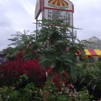 Houston Garden Center - Nurseries & Gardening Near Me - Houston, Texas Houston Garden Center - Nurseries & Gardening Near Me - Houston, Texas