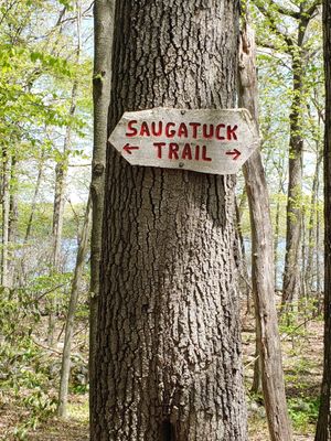 NATURE CONSERVANCY - DEVIL’S DEN PRESERVE - Updated May 2024 - 63 ...