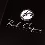 Photo of Brad Capone Real Estate Photography