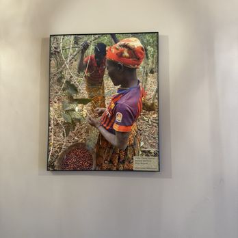 Burundi Star Coffee - Coffee & Tea Near Me - Portland, Maine