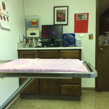 Del Valle Pet Hospital - Waiting room - Veterinarians Near Me - Livermore, California