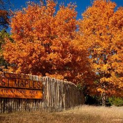 Sabinal River Lodge