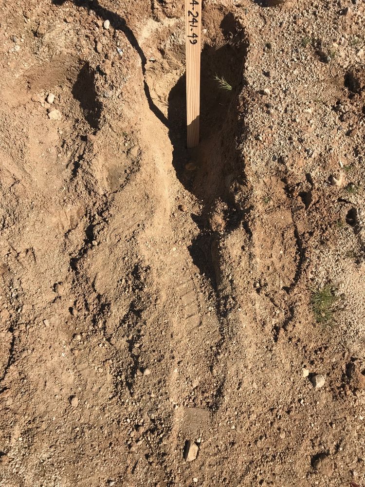 RAY FREIWALD SURVEYING Updated October 2024 Yucca Valley