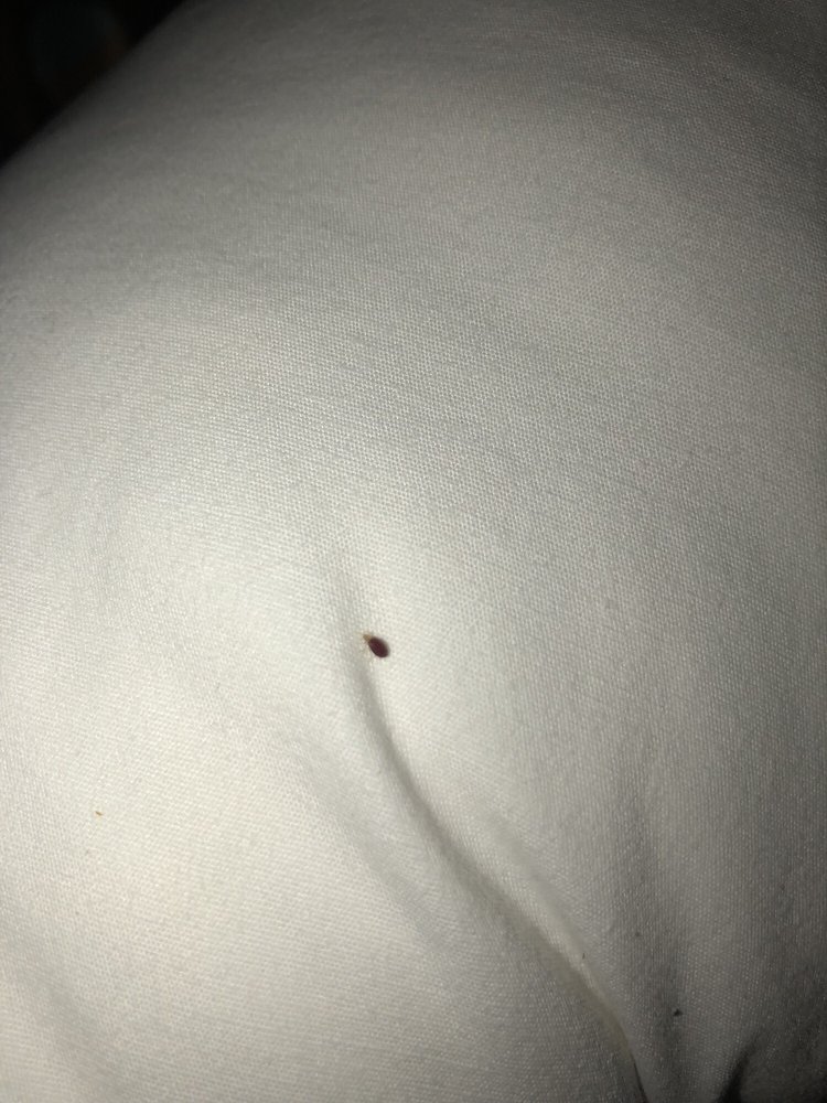 DESOTO INN & SUITES Updated September 2024 1967 US 30, Missouri