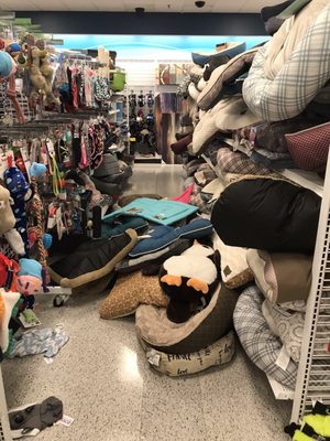ross stores dog beds