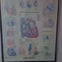 Photo of Mid-Columbia Heart Institute PS