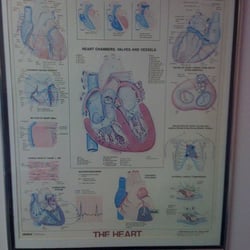Mid-Columbia Heart Institute PS