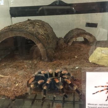 Wildlife Learning Center - Zoos Near Me - Sylmar, California Wildlife Learning Center - Zoos Near Me - Sylmar, California