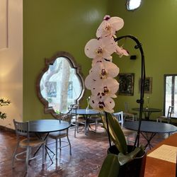 Saladworks - Inside