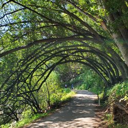 Lake Chabot Regional Park