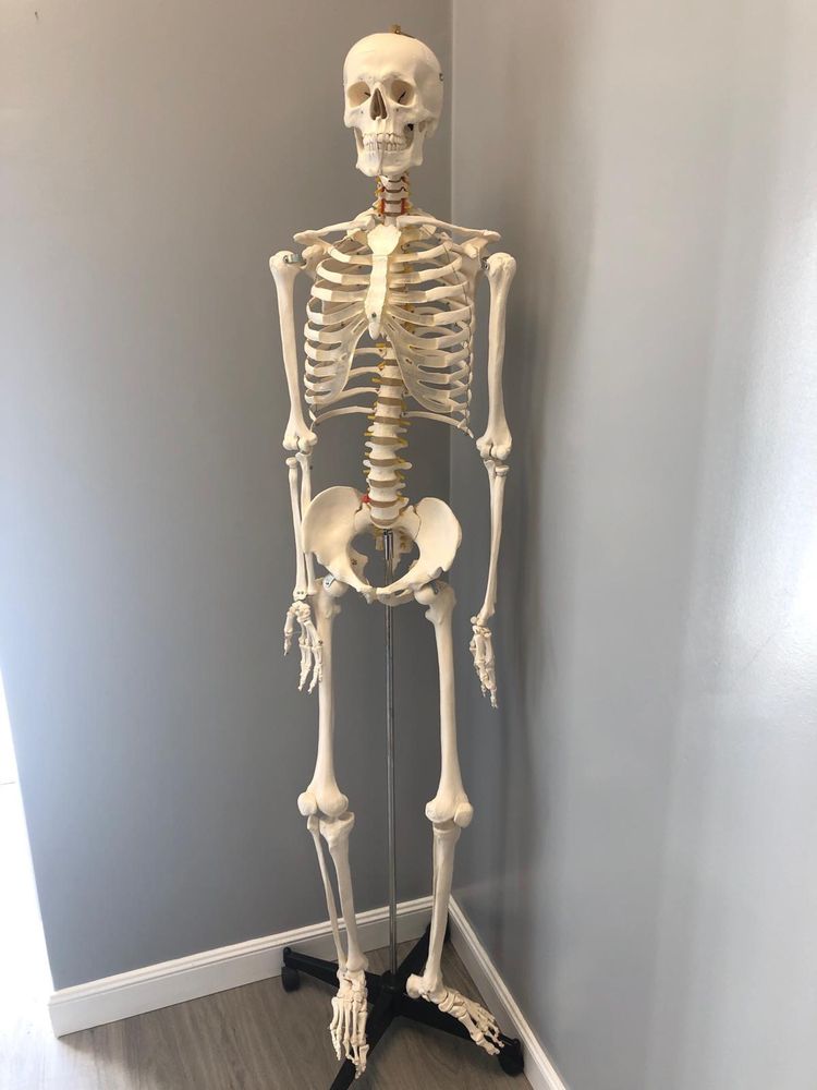 ALL IN ONE CLINIC Updated October 2024 36 Photos & 49 Reviews