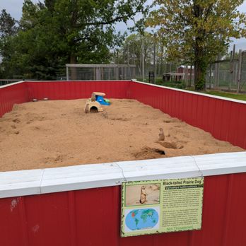 Paul Bunyan Animal Land - Petting Zoos Near Me - Bemidji, Minnesota Paul Bunyan Animal Land - Petting Zoos Near Me - Bemidji, Minnesota