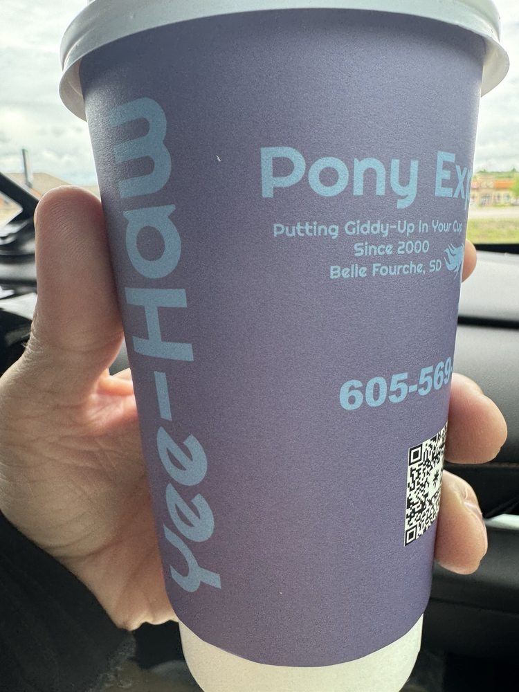 Pony Express-o Logo