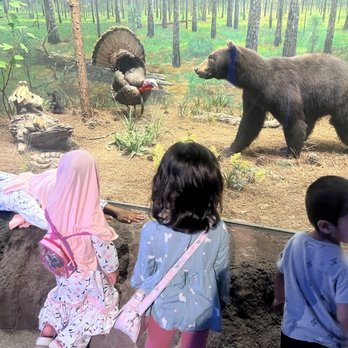 Witte Museum - Museums Near Me - San Antonio, Texas Witte Museum - Museums Near Me - San Antonio, Texas